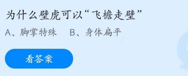 为什么壁虎可以飞檐走壁