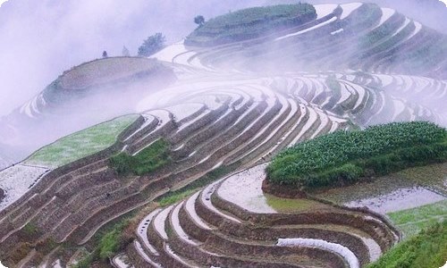  在可再生能源示范区产学研合作基地授牌仪式上的致辞