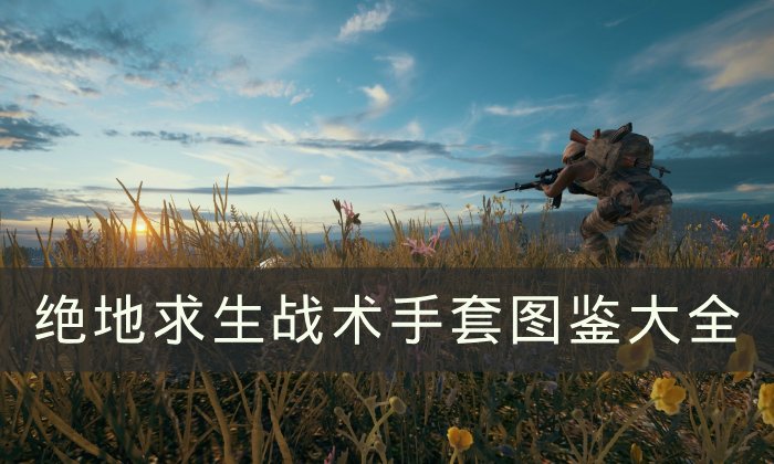 《绝地求生》战术手套有哪些 PUBG战术手套图鉴大全