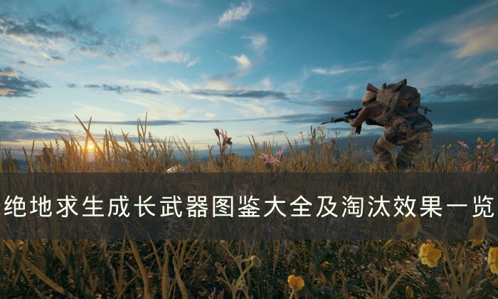 《绝地求生》成长武器有哪些 PUBG成长武器图鉴大全及淘汰效果一览