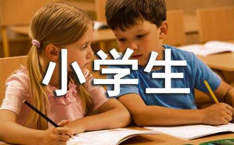 小学生学习经验总结